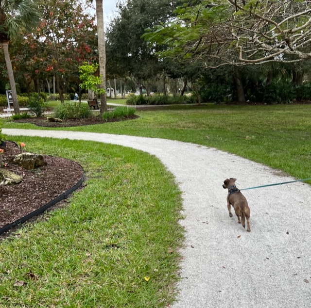 Dog Friendly Realtor PBC #15, original article photo 2
