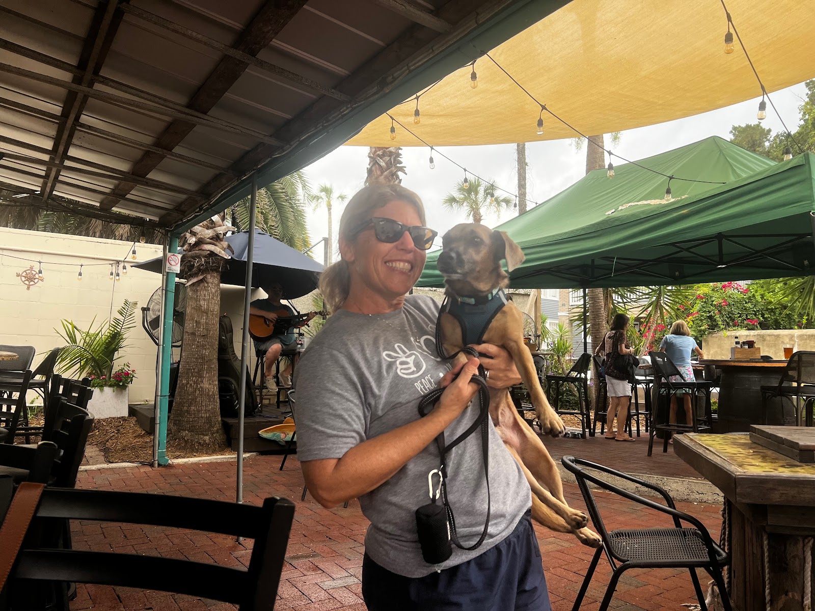 Dog Friendly Realtor PBC #19 - Road Trip!, original article photo 1