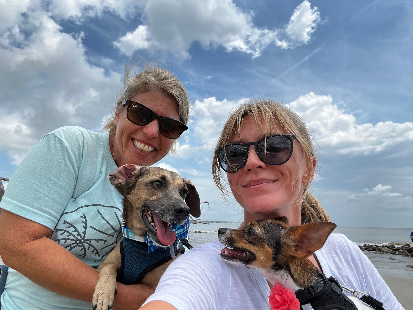 Dog Friendly Realtor PBC #19 - Road Trip!, original article photo 10