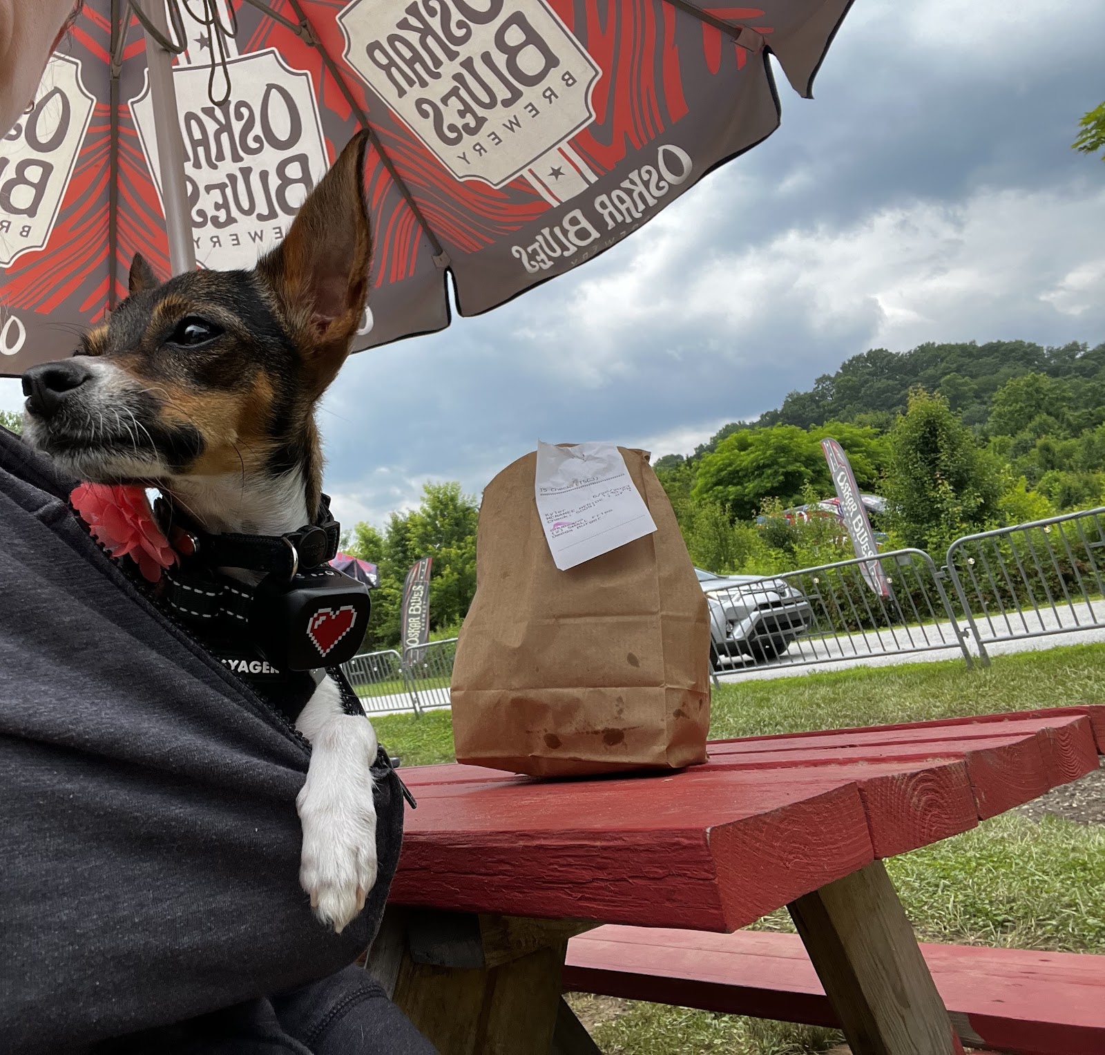 Dog Friendly Realtor PBC #19 - Road Trip!, original article photo 16