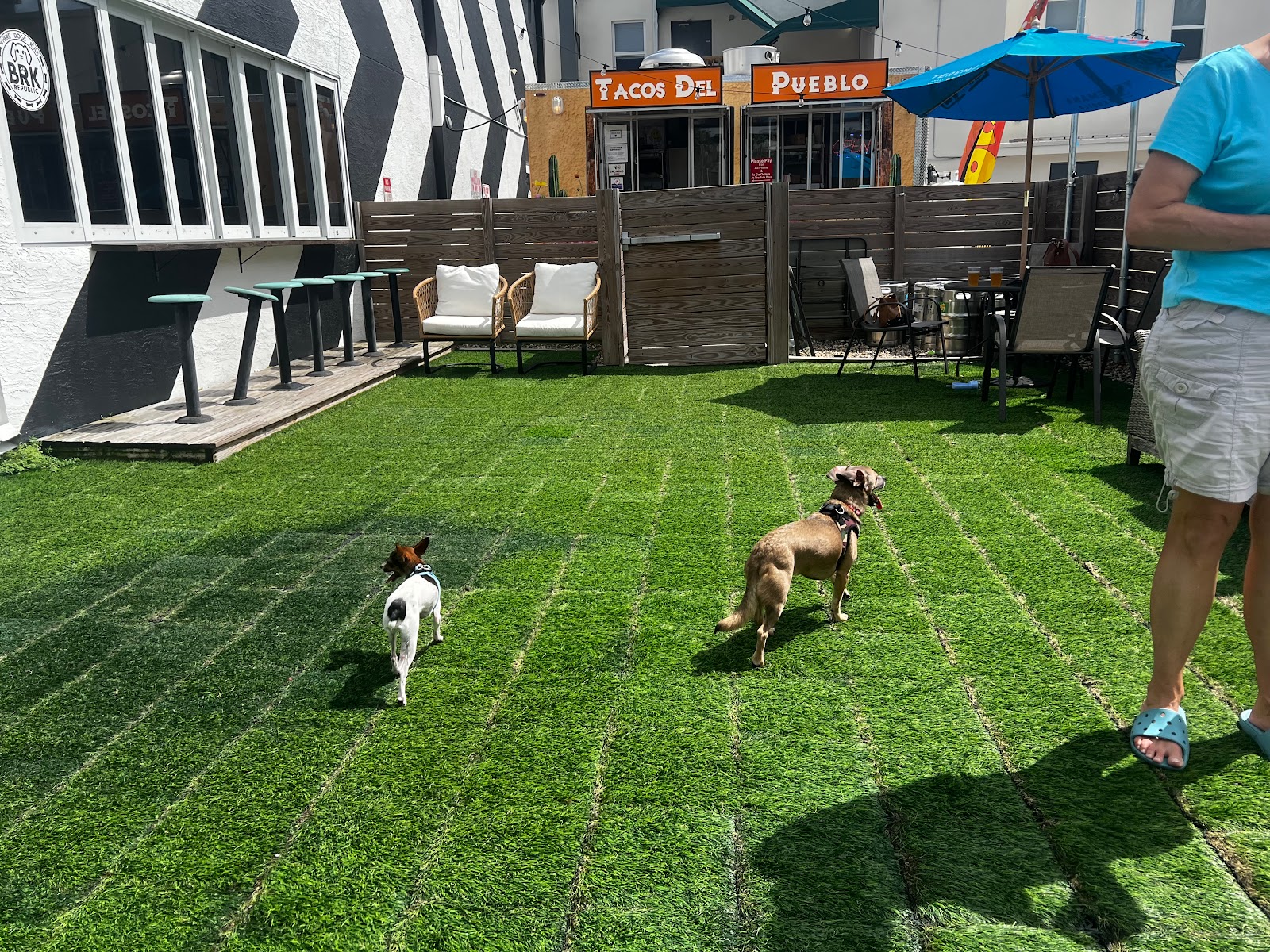 Dog Friendly Realtor PBC #21, original article photo 1