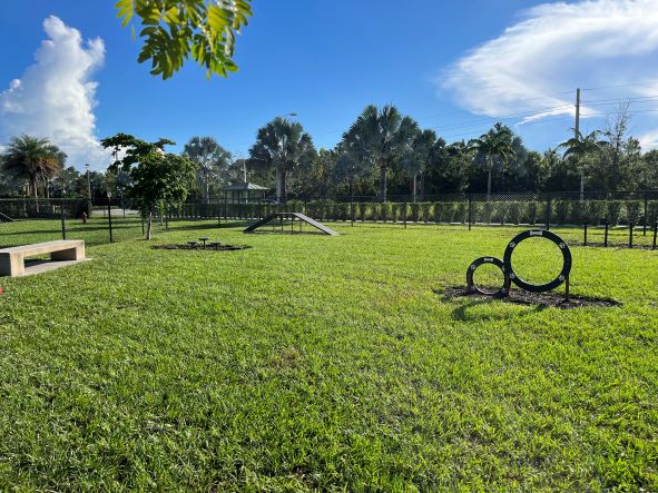 Dog park in Alton, photographed for Merideth's dog-friendly local blog